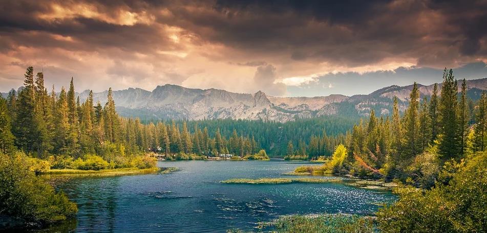 Renunciation in the Three Principal Aspects of the Path