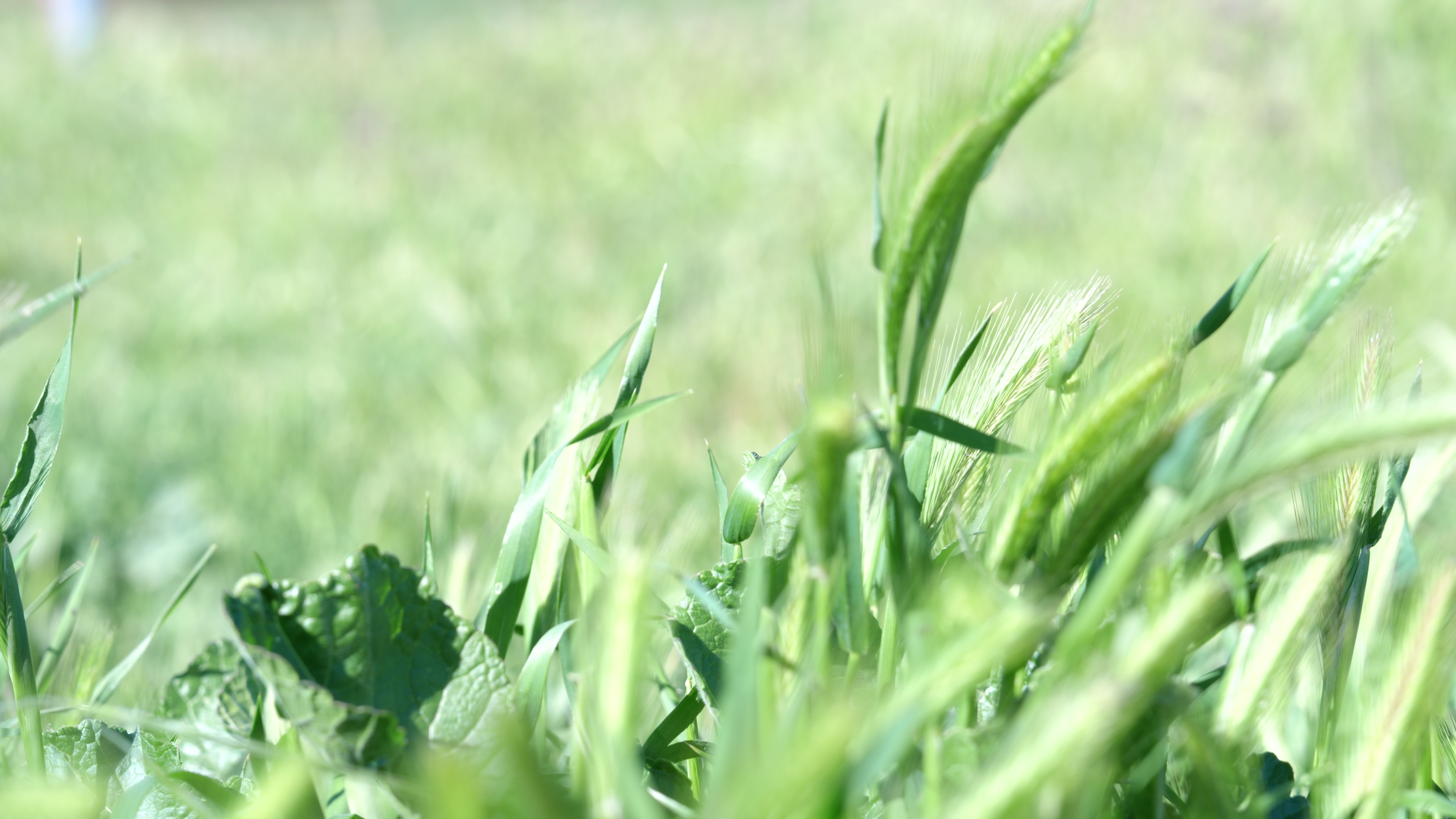 Landscapes Around Us
