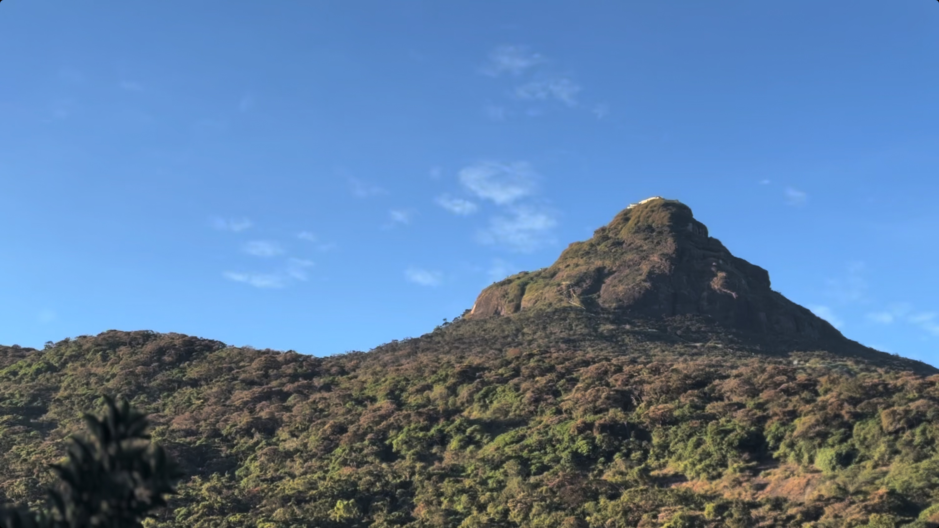 A Pilgrimage to Sri Lanka