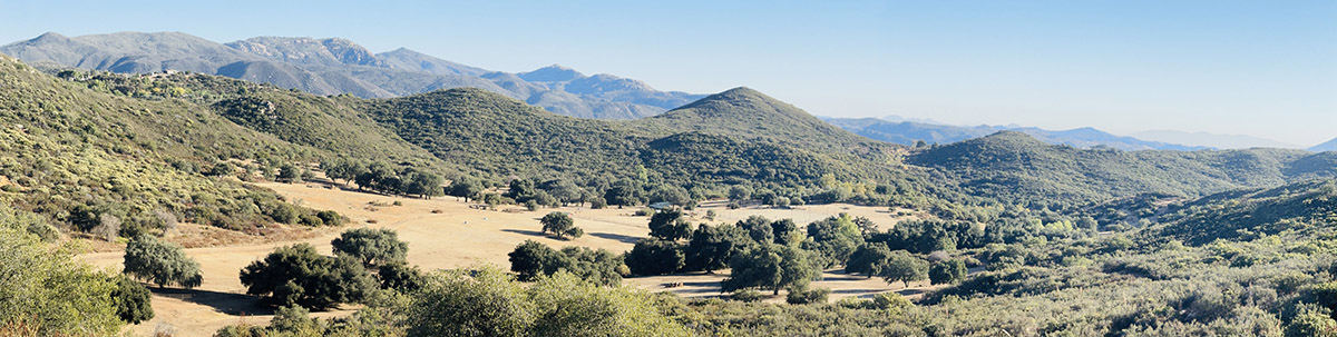 Nagarjuna Cultural Center’s Retreat Center in San Diego