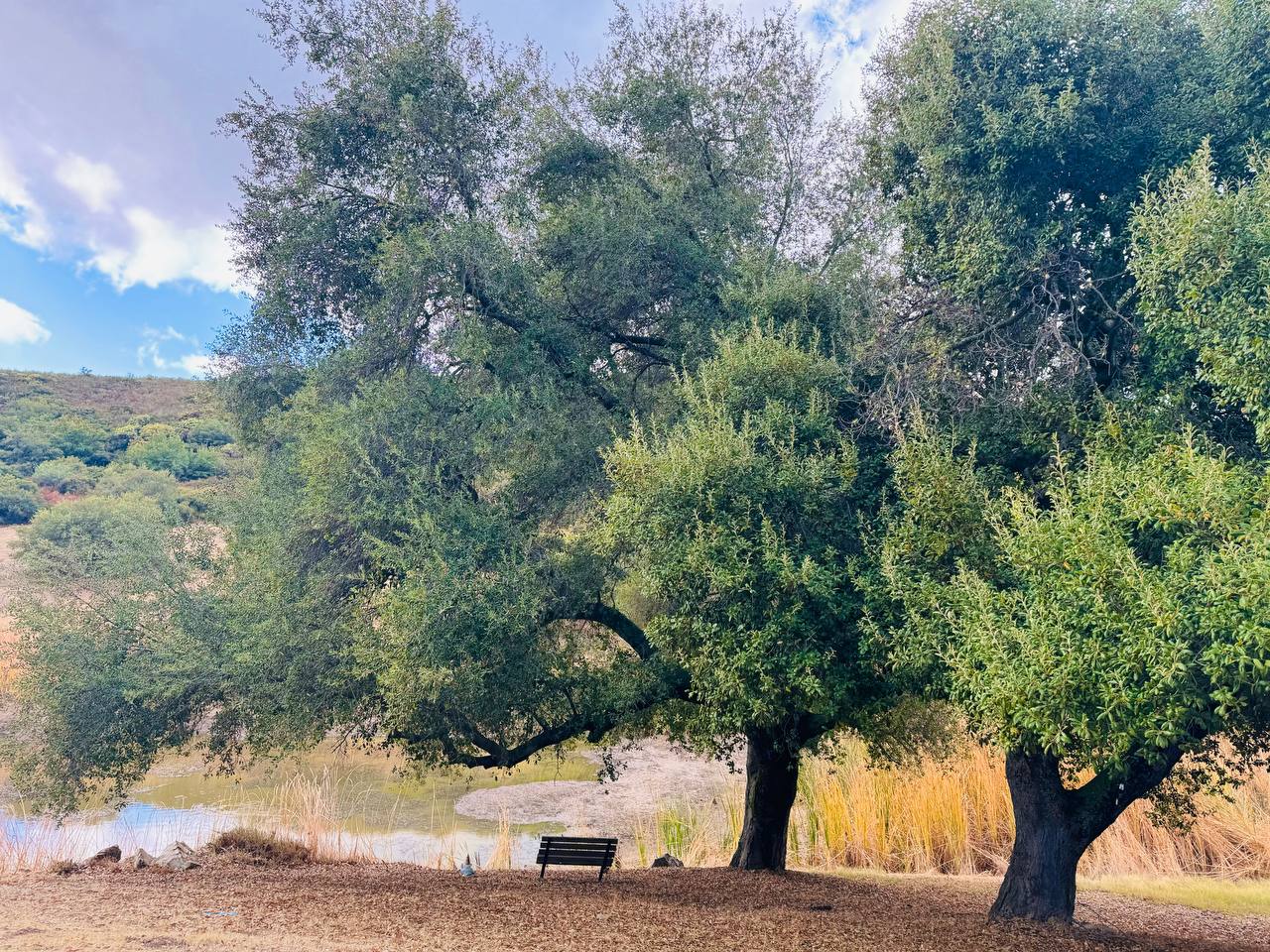 Nagarjuna Cultural Center’s Retreat Center in San Diego