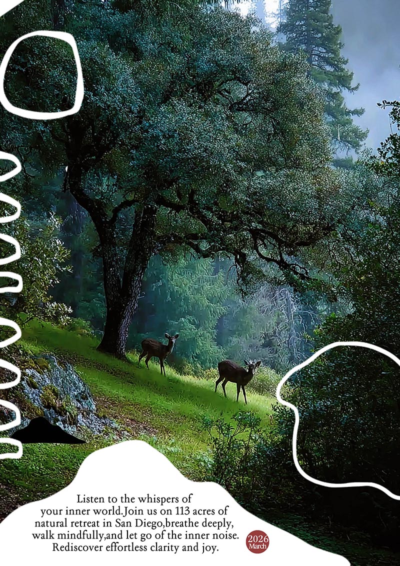 March Spring Festival Chan Retreat