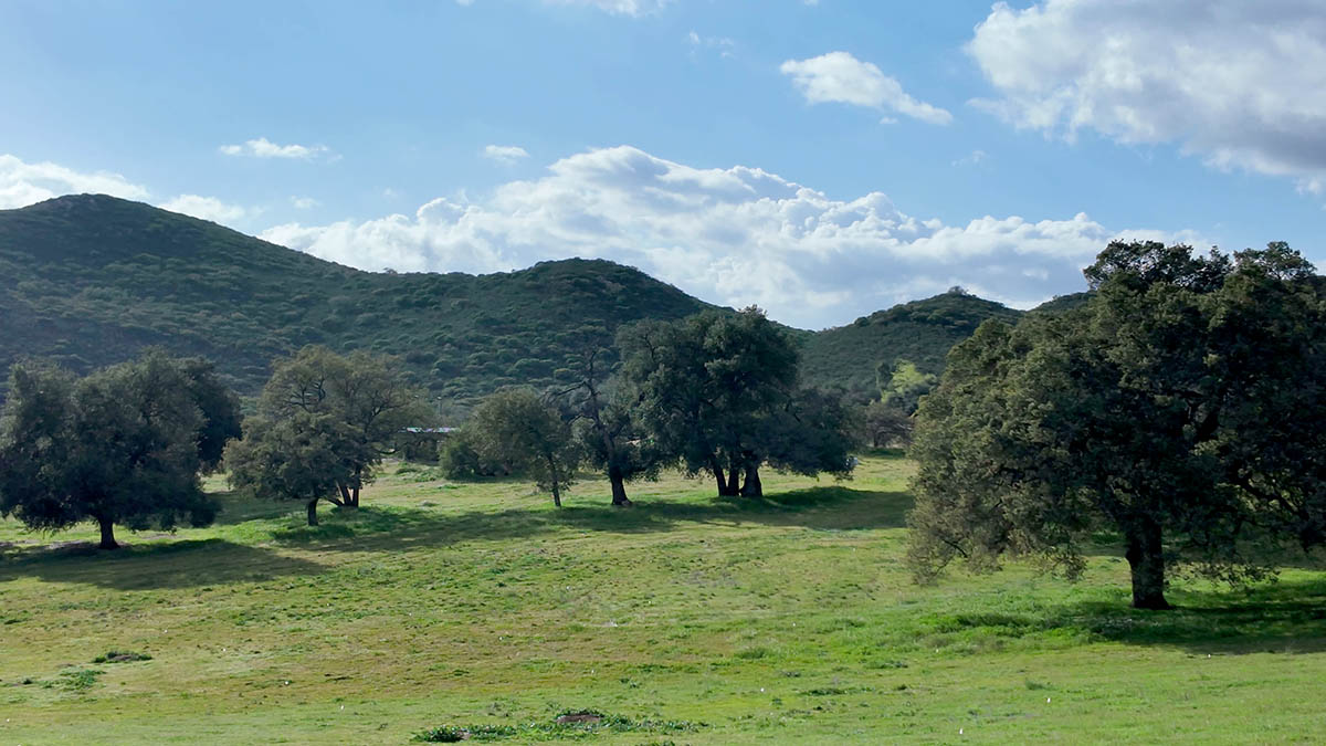 Nagarjuna Cultural Center’s Retreat Center in San Diego