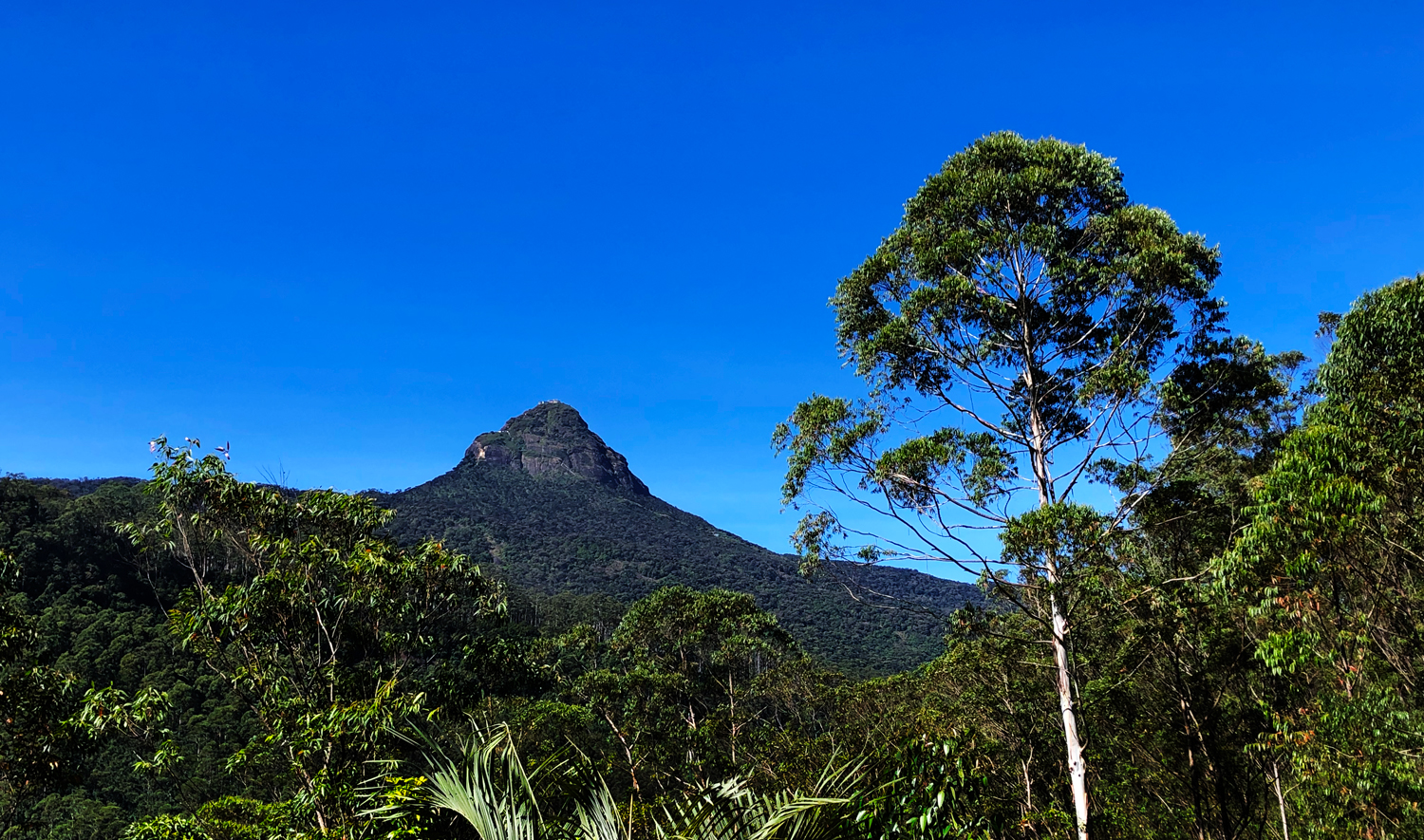 A Pilgrimage to Sri Lanka