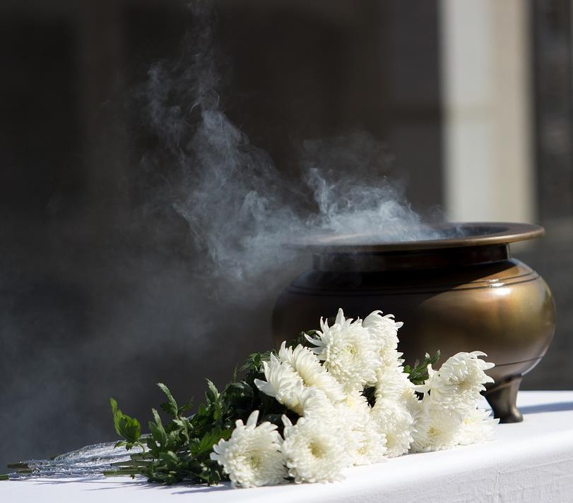 Why are insights so important in meditation ?