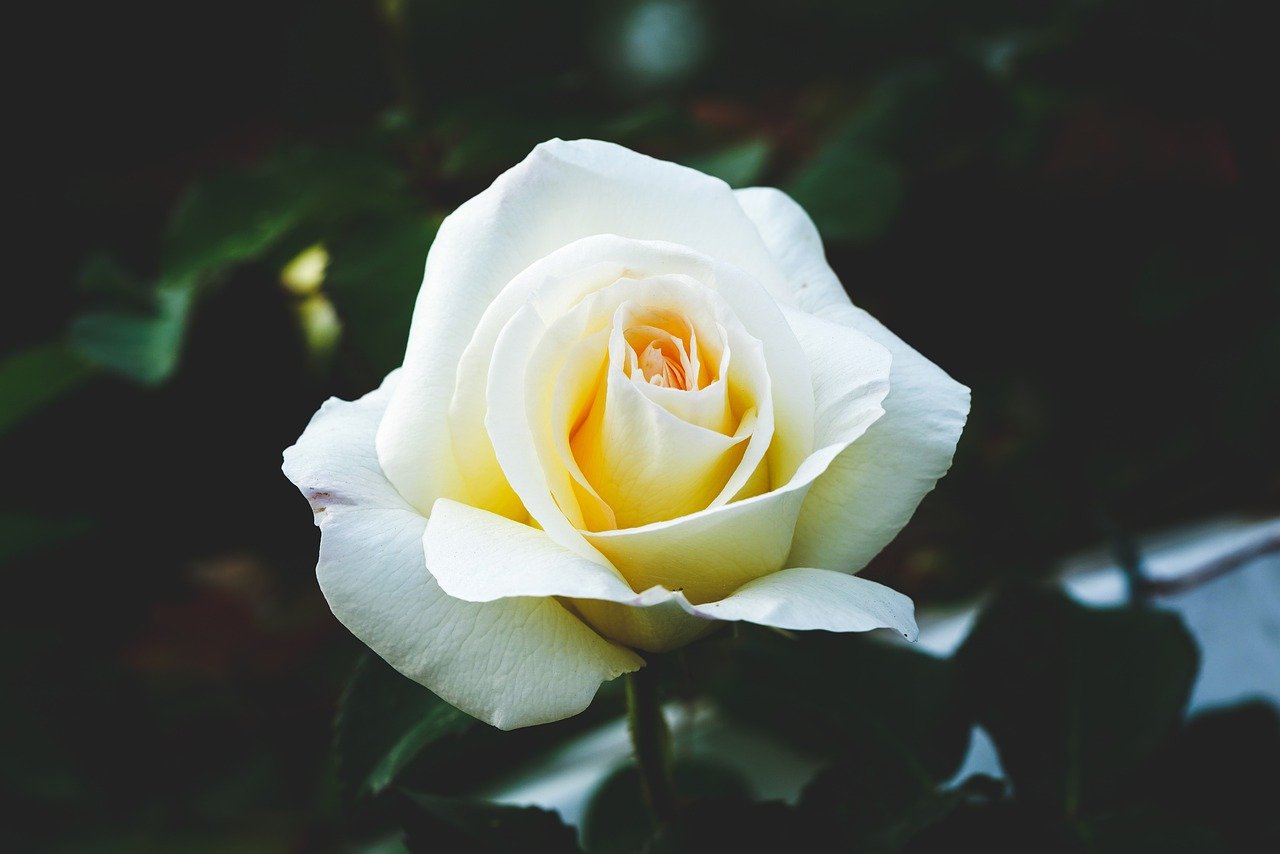 Are all thoughts bad? How can we use thoughts to practice?