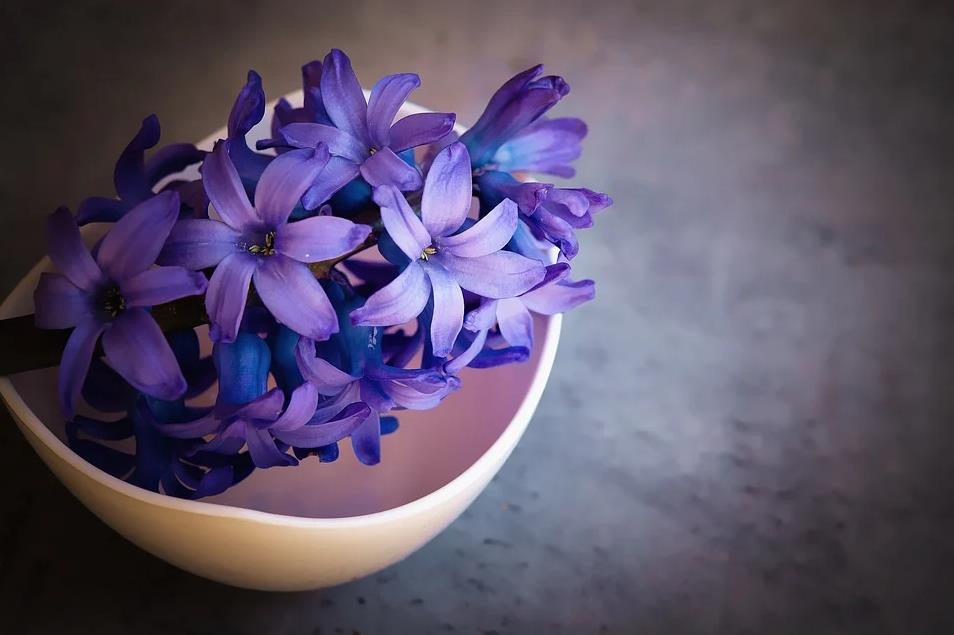 The Interrelationships Among the Bodhisattva’s Six Pāramitās (Part 2)