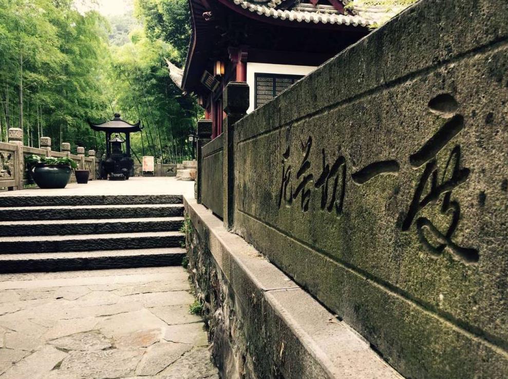 The Desperate View of Life