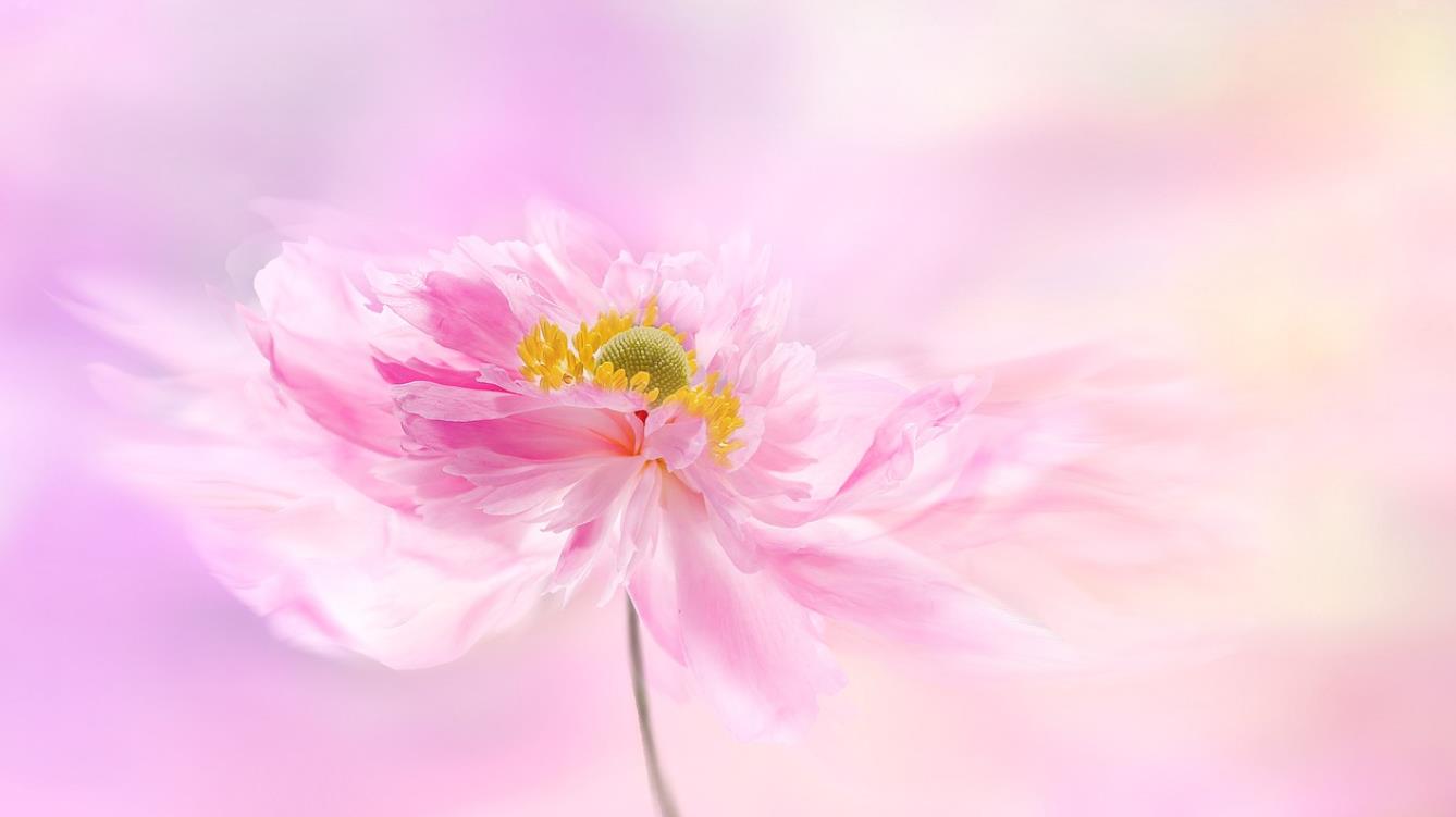 What is neutral feeling?