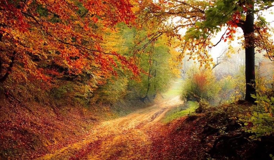How to Prevent the Aggregate of Perception from Arising Afflictions (Part Two)