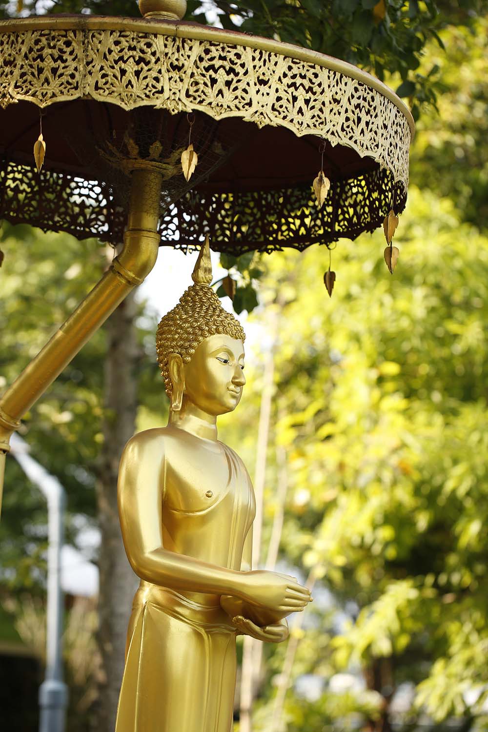 May 2026 Chiang Mai Thailand