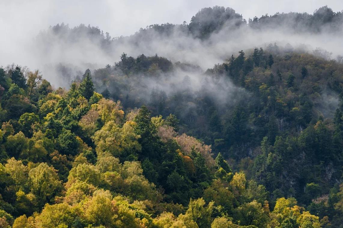 Does Buddhism Permit Seeking Human and Heavenly Blessings?