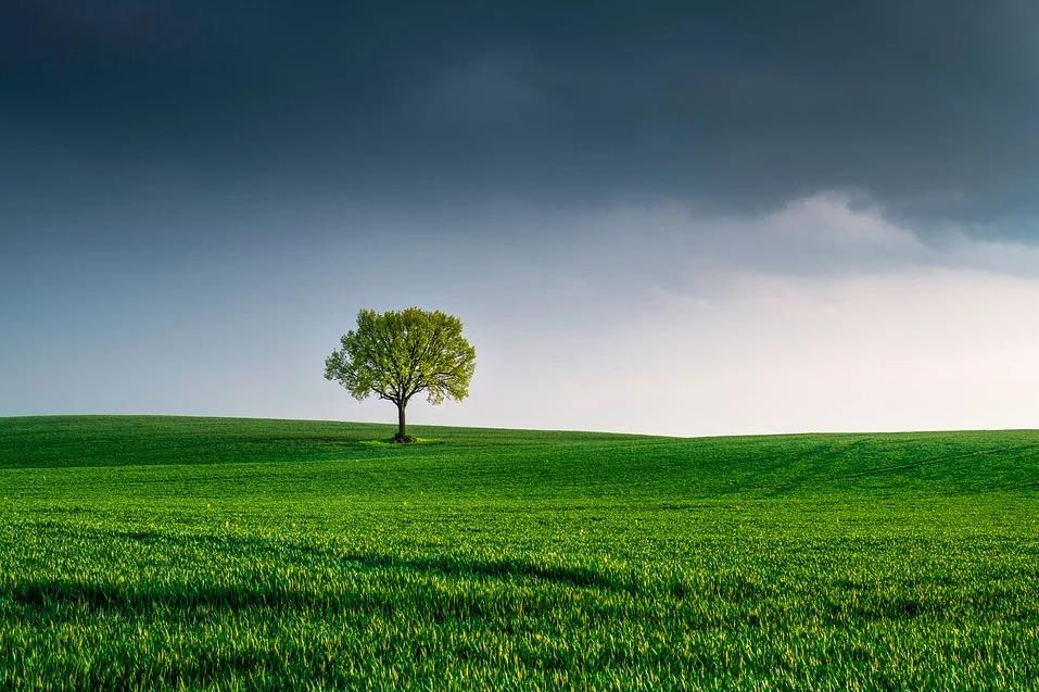 The Correct View of Emptiness in the Three Principal Aspects of the Path