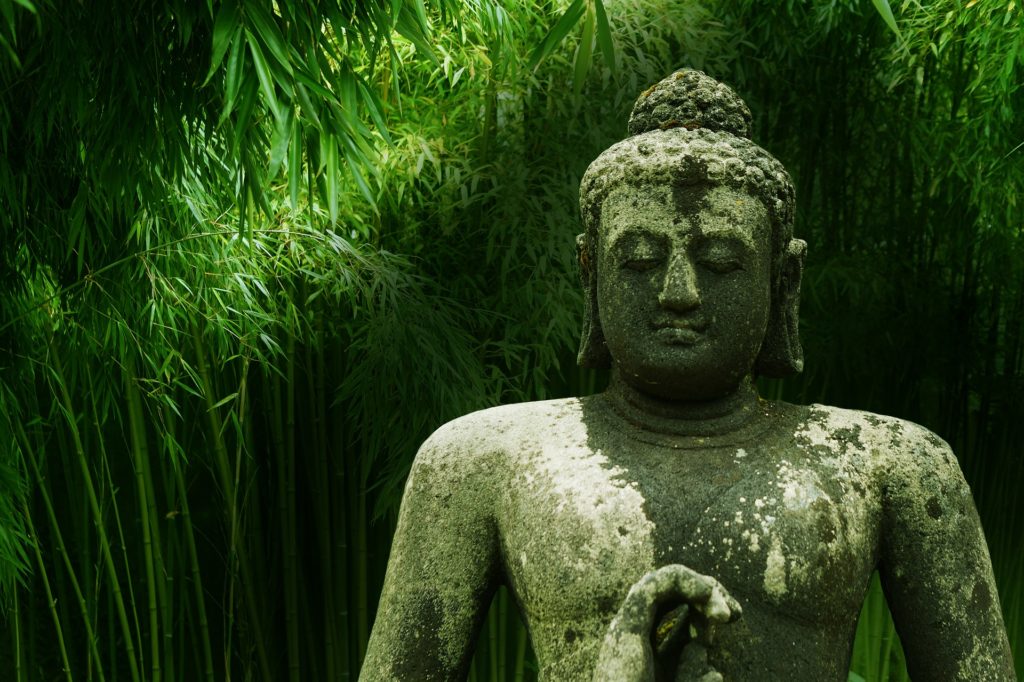 Three Common Pitfalls in Study, Contemplation, and Practice (Part Two)