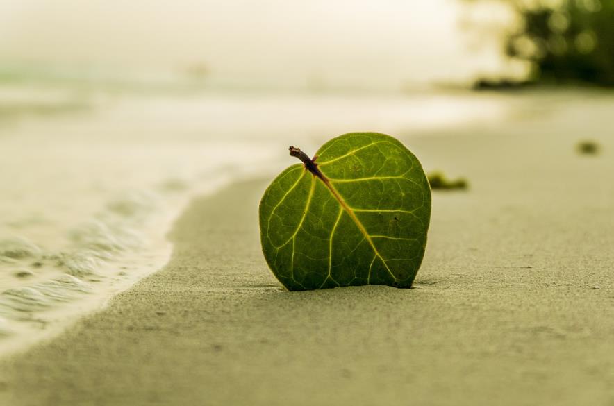 The Four Stages of Madhyamaka Practice (Part Two)