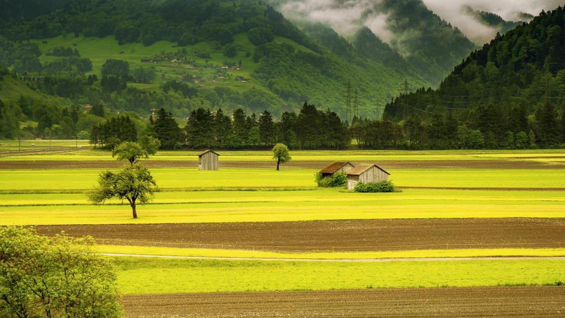 Why Are Study and Contemplation So Important in Buddhist Practice?