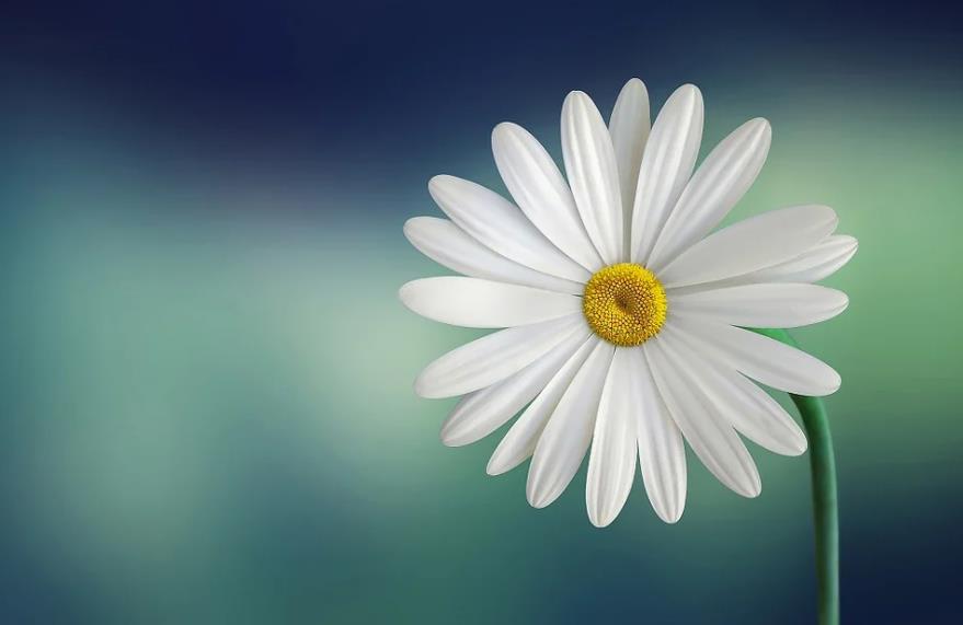 Characteristics of Bodhicitta（part one）