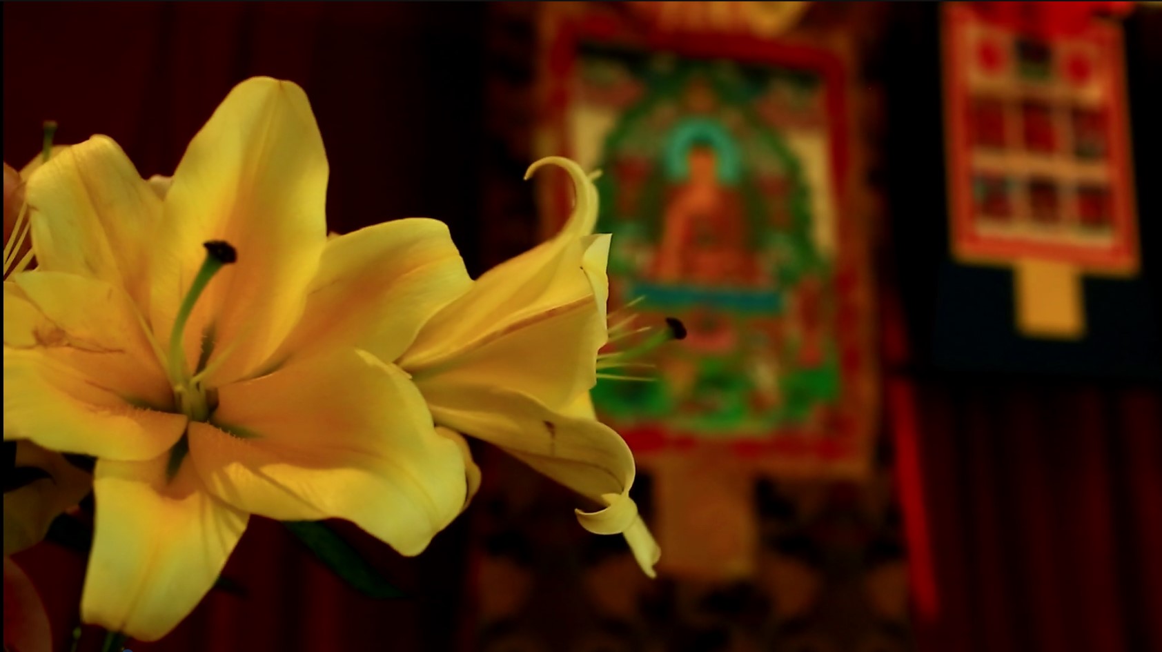Meditation Scenes from Ten Years Ago
