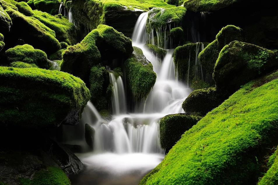 How to Counter Restlessness and Drowsiness During Buddha-Recitation (Part I)